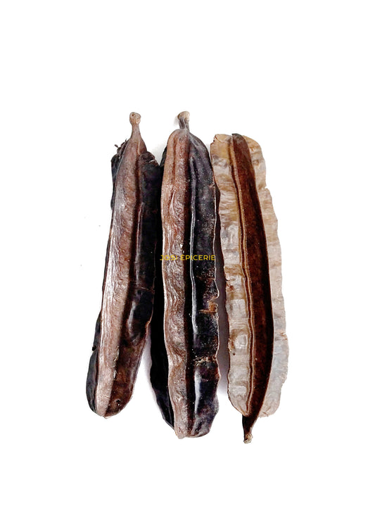 QUATRE CÔTÉS, TETRAPLEURA TETRAPTERA