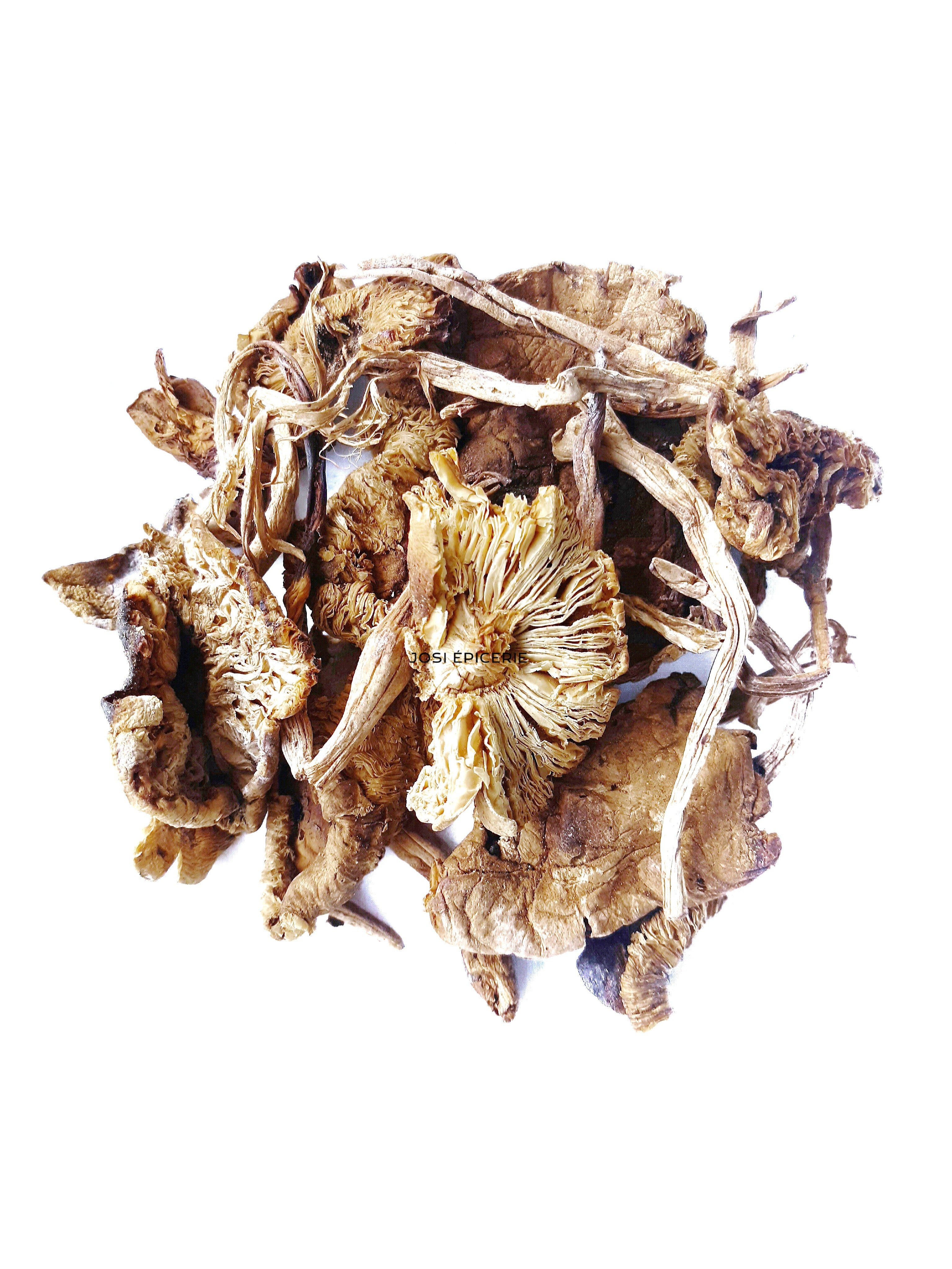 Champignons blancs séchés