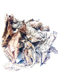 Feuilles de djeka